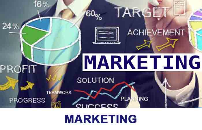 Marketing Training Internship in Chandigarh