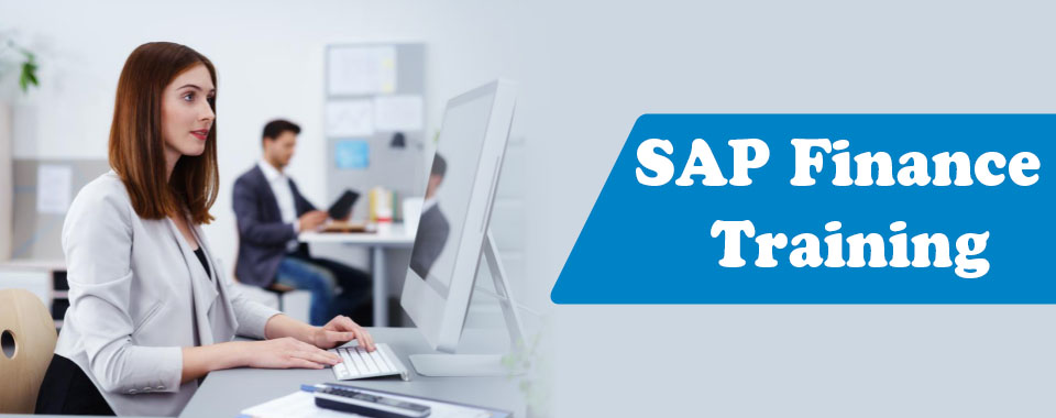 sap finance training mohali chandigarh panchkula