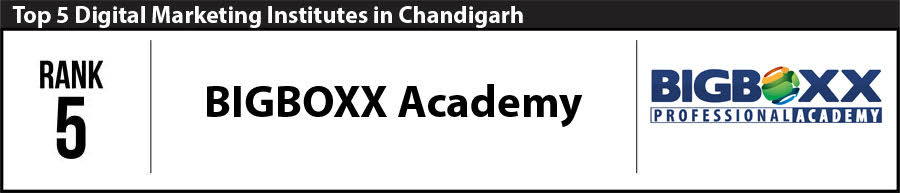 Top 5 Digital Marketing Institutes providing Digital Marketing Course in Chandigarh